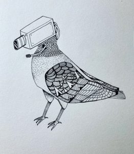 Pigeon Camera