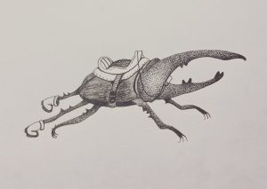 beetle drawing